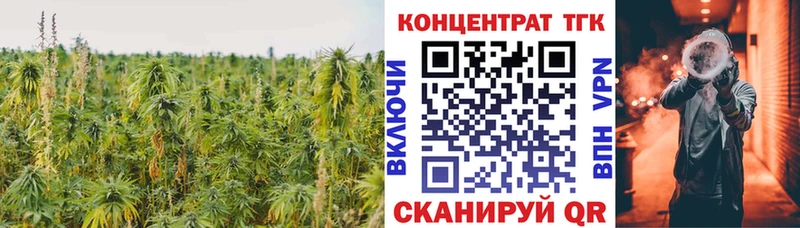 дарк нет какой сайт  Оса  ТГК Wax 